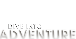 Bristol Helicopter Shuttle